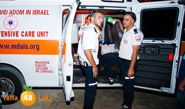 3aregmontreeh520 (34).jpg